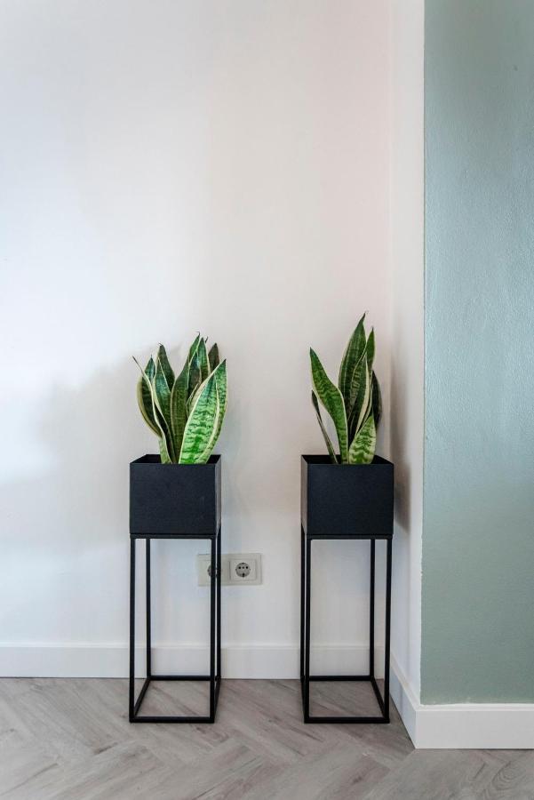 Appartement En Studio Papillon Zandvoort Eksteriør bilde